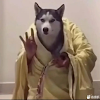 mikaeIson.'s Avatar'