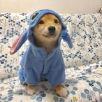 Mibbons's Avatar'