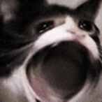 Rnfqh's Avatar'