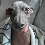 Xx__bro__1xX's Avatar'