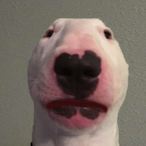 Heinzbeans23's Avatar'