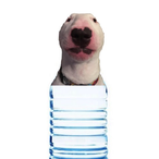 DogWaterr69's Avatar'
