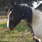 UnhappyDrop5784's Avatar