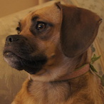 Slyphic.BSSG's Avatar'