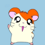 ha.ma's Avatar'