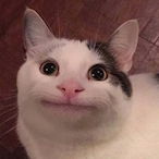 HzD.D4nkMemez's Avatar'