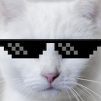 vcsq 31's Avatar'
