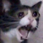 kimheadplz's Avatar'