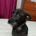 ElFilantropo's Avatar