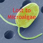 MrNiceNigel's Avatar'