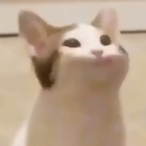 sneakyFrussian's Avatar'