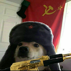 puyinvotka's Avatar'