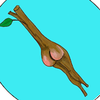 Thiccest_Sticc's Avatar'
