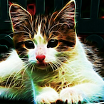 sppye_'s Avatar'