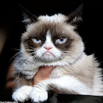 MaineDaFknGoat's Avatar'