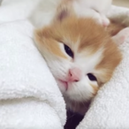 GeneraIJoeI's Avatar'