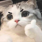 M4X_MEOW's Avatar'
