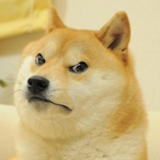 D4nyEz69's Avatar'