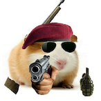 guerrilla-pig's Avatar'