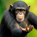 Dokutah.Mashiro's Avatar'