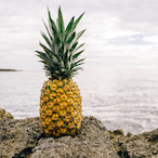 DrPiggins.-'s Avatar'