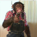 BearBig-_-'s Avatar'