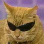 drgkk_'s Avatar'