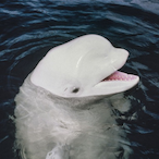 fannymagnet_'s Avatar'