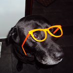 Desconhecido.'s Avatar'