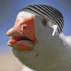 lickable's Avatar'