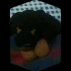 supurmom's Avatar'