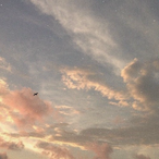 CMRD.Cloud's Avatar'