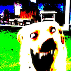 Chonk.exe's Avatar'