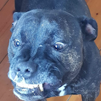 Hotshot.WC's Avatar'