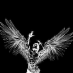 Diboz.SWMG1's Avatar'