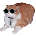 ChimiMichip's Avatar