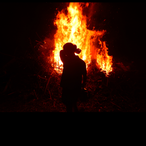 PsychoSpirits's Avatar'