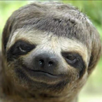 AnthonyYEET.'s Avatar'