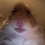 SlappyMcBooty's Avatar'