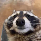 S4ndreyvic's Avatar'