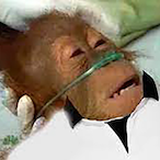 tungtungtung675's Avatar'