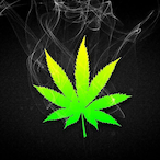 xSoulburn's Avatar'