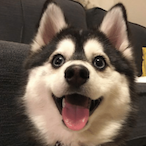 So_basically_KR's Avatar'