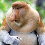 SoRrY_Mum19's Avatar'