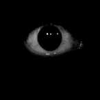 WoLFxCrAzZy's Avatar'