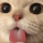 Aikzy's Avatar'