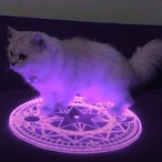 MomijiGoesAwooo's Avatar'