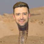 SnakeBacc's Avatar'