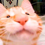 Zwukii's Avatar'