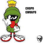Fcn.Chop's Avatar'